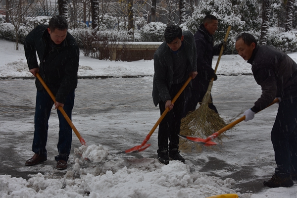 4.公司志愿者冒雪开展义务扫雪活动.jpg